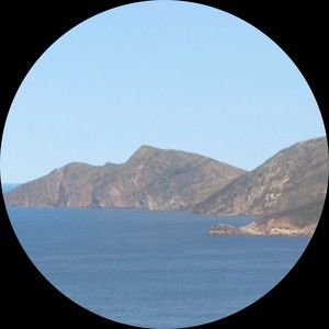 Meet your Posher, Lily